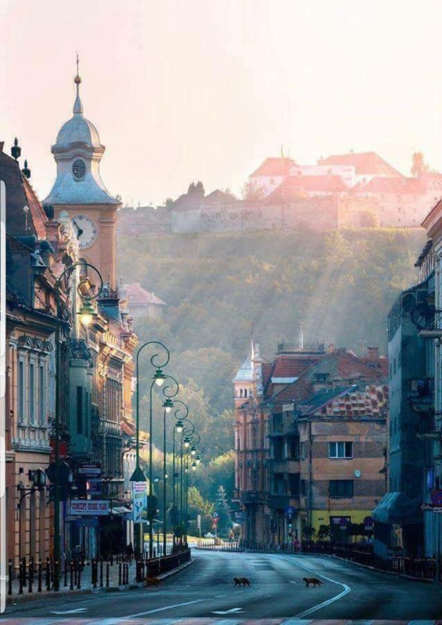 Strada Republicii Nr 26 Leilighet Braşov Eksteriør bilde